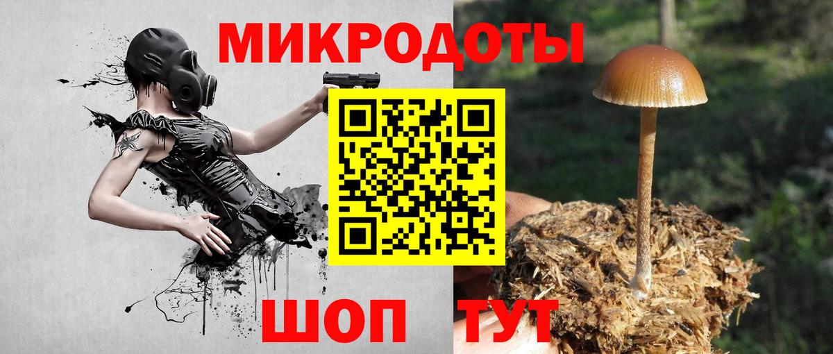 цены наркотик  Галлюциногенные грибы GOLDEN TEACHER  Гулькевичи  Вход с VPN  Псилоцибиновые грибы Psilocybine cubensis 